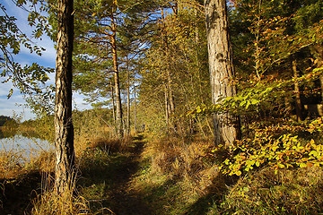 Image showing HDR capture of an autumnal landscape in Bavaria 