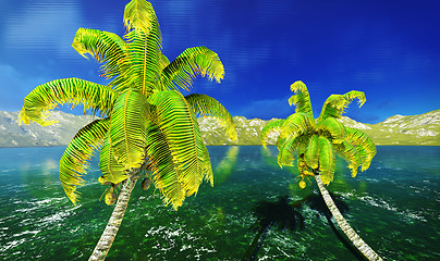 Image showing Hawaiian paradise 