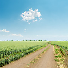 Image showing dirty road in green grass and white cloud over it