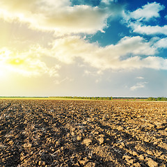 Image showing good sunset and field after harvesting