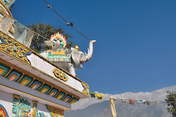 Image showing Elephant on the roof