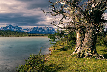 Image showing Torres del Paine