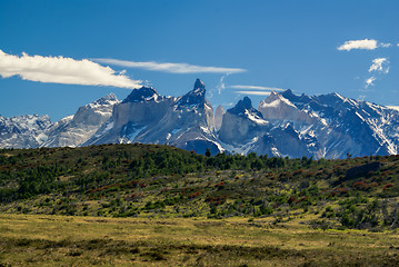 Image showing Torres del Paine