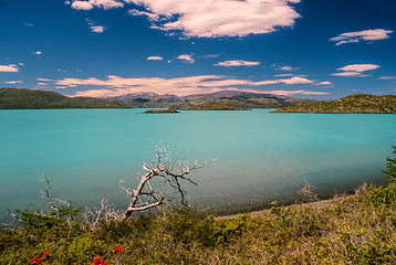 Image showing Torres del Paine