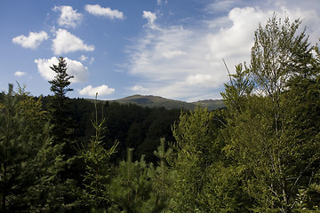 Image showing Scenery of Nature