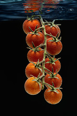 Image showing Cherry tomatoes in water