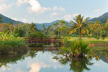 Image showing Palm Trees and Reflection