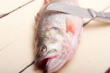 Image showing fresh whole raw fish