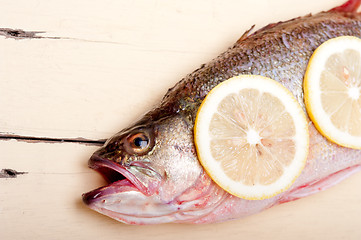 Image showing fresh whole raw fish