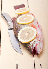 Image showing fresh whole raw fish