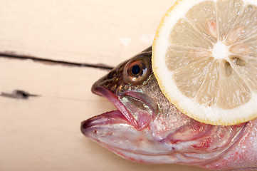 Image showing fresh whole raw fish