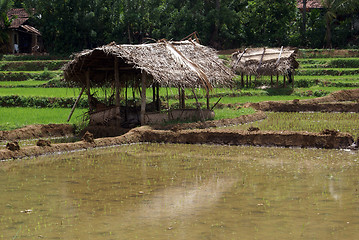 Image showing Houses on the field