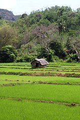 Image showing House on the green field