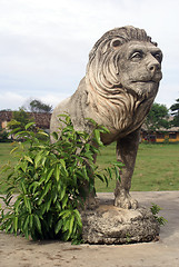 Image showing Lion