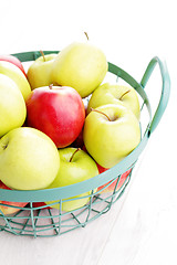 Image showing green and red apples