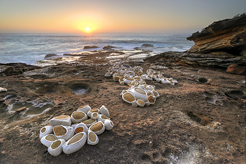 Image showing Sunrise on the rocks