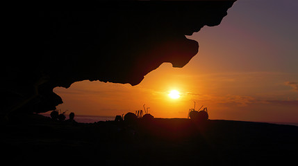 Image showing Sunrise Silhouettes at Bondi