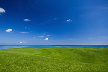 Image showing Beautiful green landscape