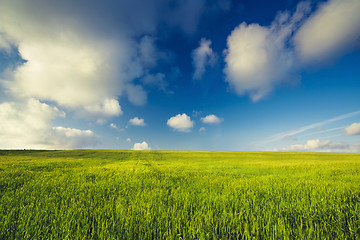 Image showing Beautiful green landscape