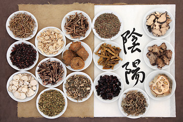 Image showing Yin and Yang Herbs