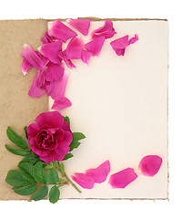 Image showing Rose Flower and Notebook