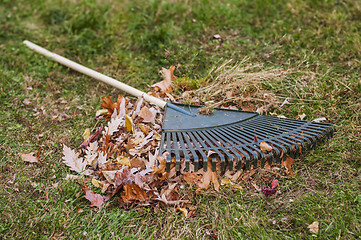 Image showing Leaf Rake And Leaf Pile