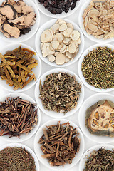 Image showing Chinese Herbs