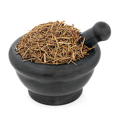 Image showing Chinese Ephedra Herb