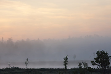 Image showing foggy