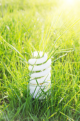 Image showing eco bulb on green grass and sun