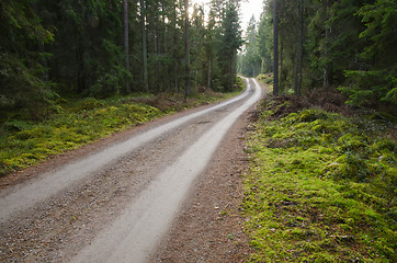 Image showing Green environment with a winding gravel road