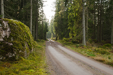 Image showing Big mossy rock at a dirt road side