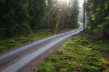 Image showing Sunbeams at a gravel road in a green forest