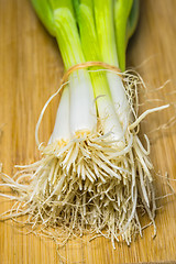 Image showing spring onion on a plank