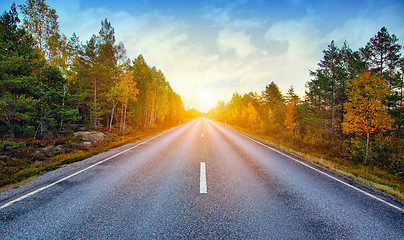 Image showing Fall scenic road in Sweden