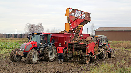 Image showing Sugar Beet Harvest 