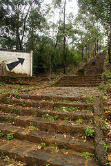 Image showing Way to the top of Adam's Peak