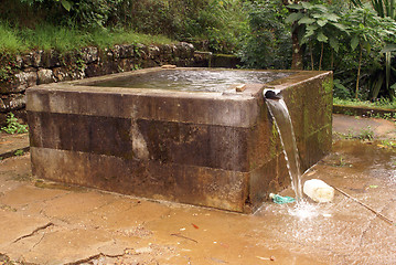 Image showing Bath in the forest