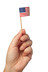 Image showing Mini United States of America flag