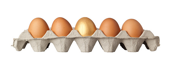 Image showing Golden egg