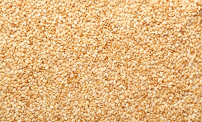 Image showing Toasted sesame seeds