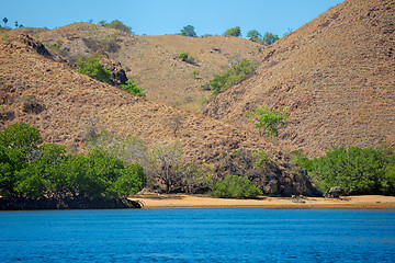 Image showing Komodo Island