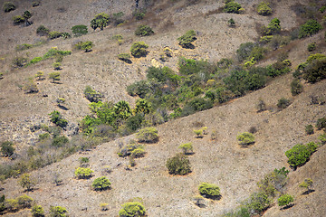 Image showing Komodo Island