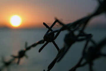 Image showing Wire and sunset