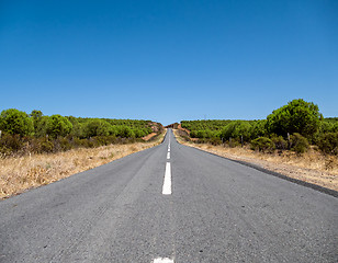 Image showing Asphalt Road on Hill