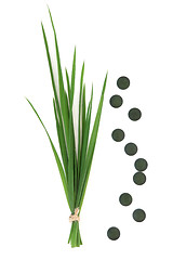 Image showing Chlorella Tablets and Wheatgrass