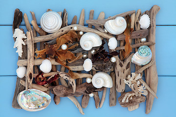 Image showing Natural Seaside Treasure 