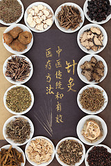 Image showing Chinese Acupuncture