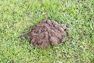 Image showing Mole mound in the sport stadium 