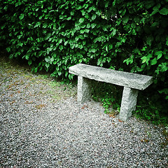Image showing Stone bench in summer garden
